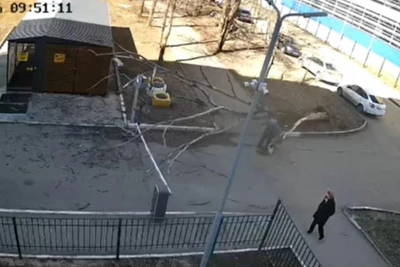 «Второй день рождения»: дерево едва не упало на казанку
