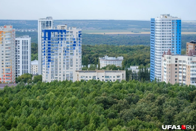 А это лес вдоль улицы Зорге | Источник: Булат Салихов / UFA1.RU