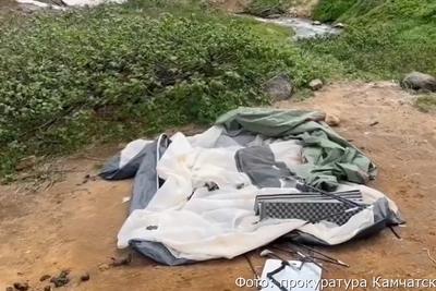 Миллион за нападение медведя: вердикт суда на Камчатке