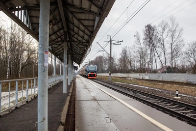 Пешеход погиб под колесами электрички в Ярославской области