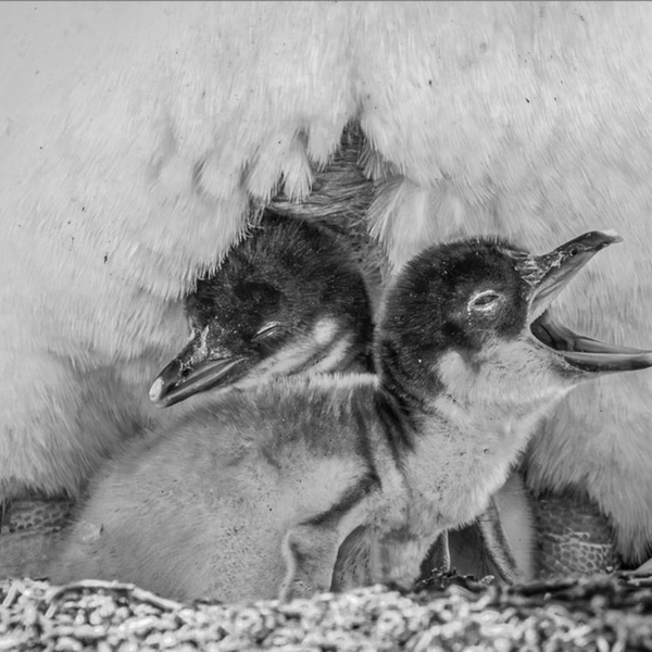 Источник: Vicki Santello / Exposure One Awards 2025