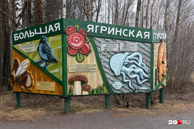 Источник: Иван Митюшёв / 29.RU