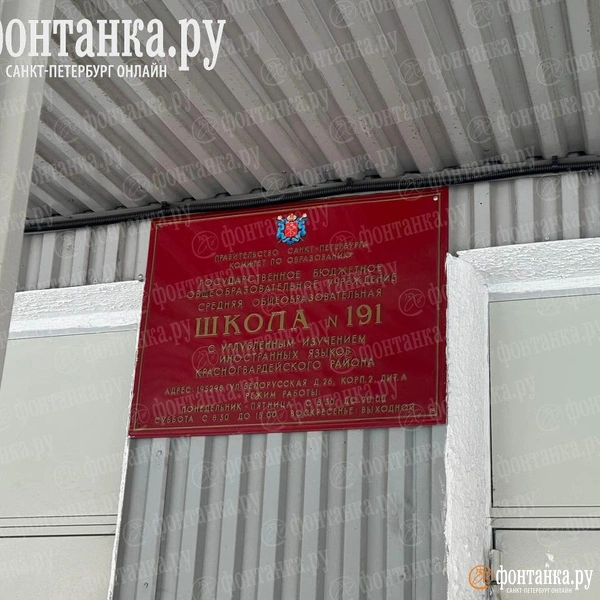 Источник: Ирина Лысак / «Фонтанка.ру»