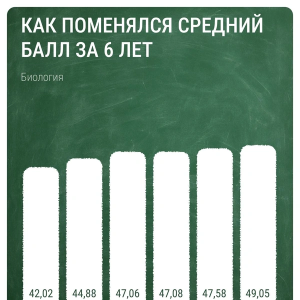 Источник: Евгения Бикунова / Городские медиа
