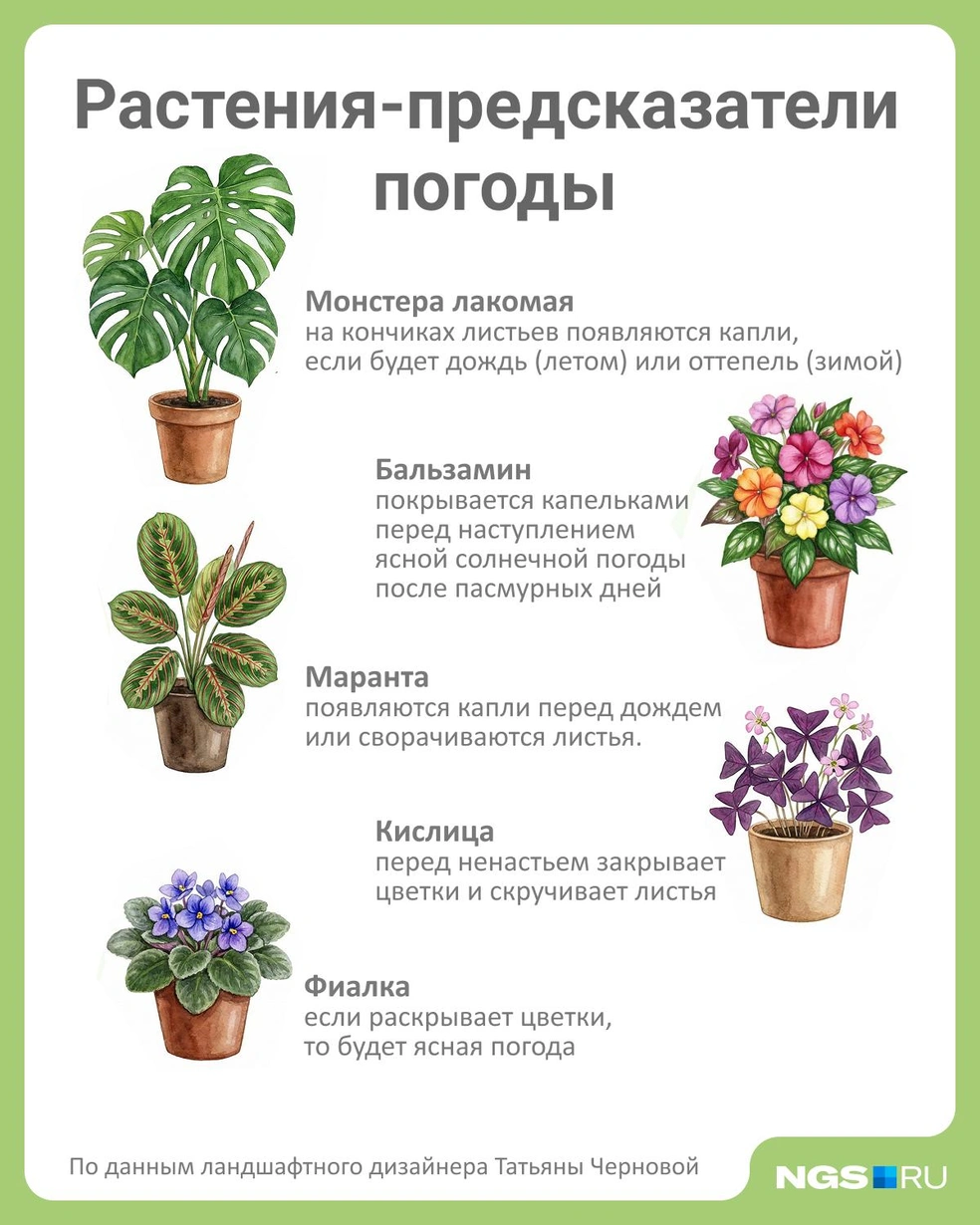Источник: Юрий Орлов / Городские медиа