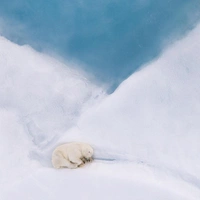 Животные, природа, люди: взгляните на лучшие снимки финалистов фотоконкурса Siena International Photo Awards 2026