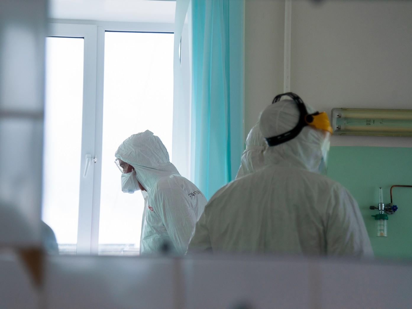 Весь мир боится индийского вируса Нипах. Ждать ли жителям Архангельской области новой пандемии