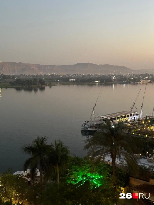 Источник: Габриелла Захарова / 26.RU