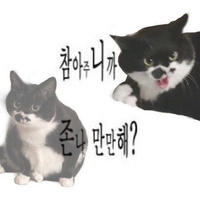 Аватарка Sophia