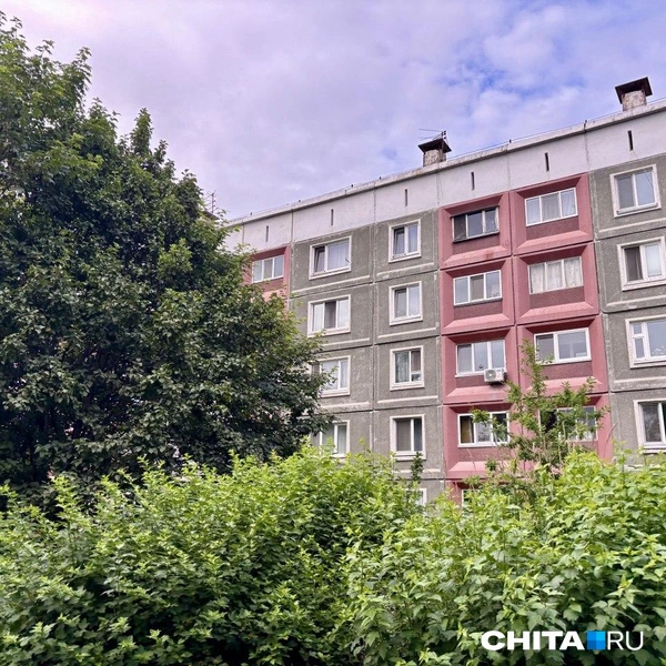 Источник: Артем Стромилов / CHITA.RU