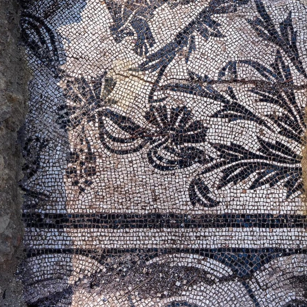 Источник: ArchaeoReporter / YouTube