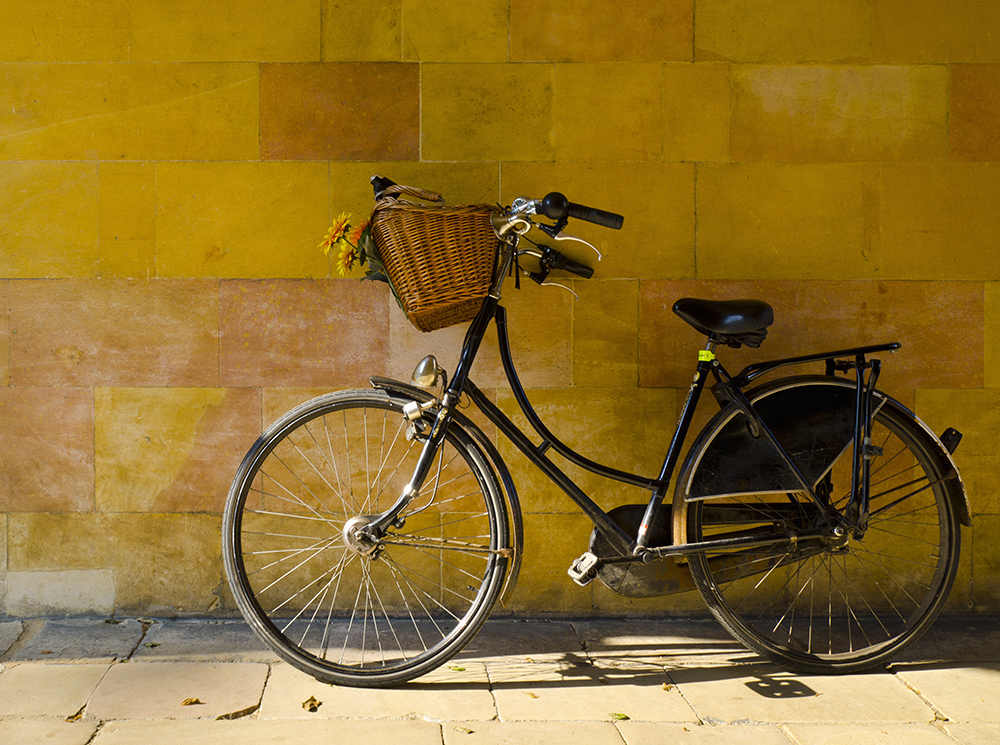 10 цитат великих людей о велосипедных прогулках | marieclaire.ru