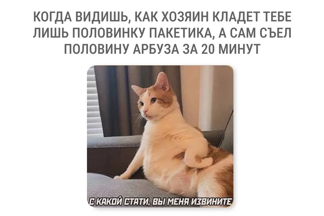Несправедливо | Источник: Мария Романова / Городские медиа