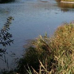 На данном участке отсутствовали любые предупреждающие таблички, запрещающие купаться | Источник: www.city-n.ru