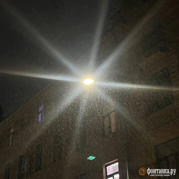 Источник: читатель «Фонтанки»