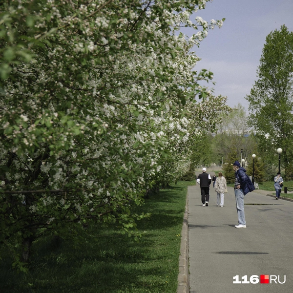 Рекомендация: посетите Парк Победы в мае — не пожалеете | Источник: Лина Саитова / 116.RU