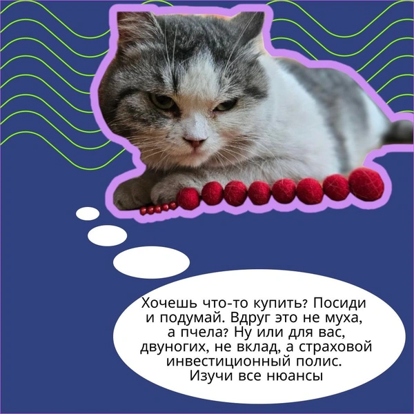 Источник: Банк России в ЦФО / Вконтакте