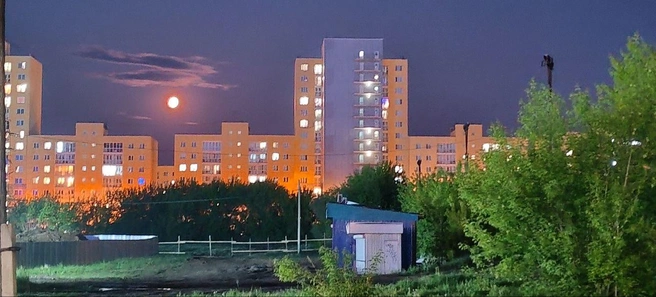 В этом июне луна расположена на небе в самой своей нижней точке за последние 18 лет | Источник: Юлия / «Иркутский астроном», t.me
