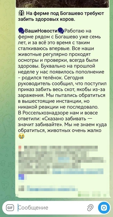 Пост из телеграм-канала «Я из Томска» уже удален, но скрин сохранился в «Милом Томске» | Источник: «Милый Томск» / t.me