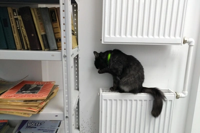 Без отопления в мороз: когда в Ростове вернут тепло?