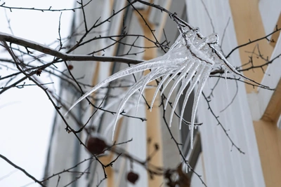 Морозы в Ярославле продлятся первую неделю февраля