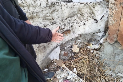 В Апатитах задержали 16-летнего закладчика наркотиков