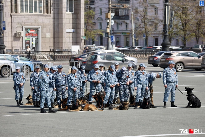 Центр кинологической службы со своими питомцами держался чуть поодаль | Источник: Михаил Шилкин