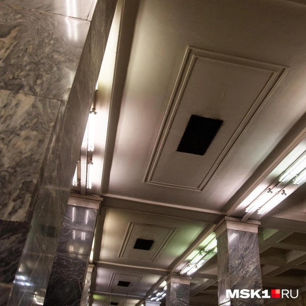 Источник: Дарья Шутова / MSK1.RU