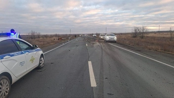 Источник: УМВД России по Оренбургской области