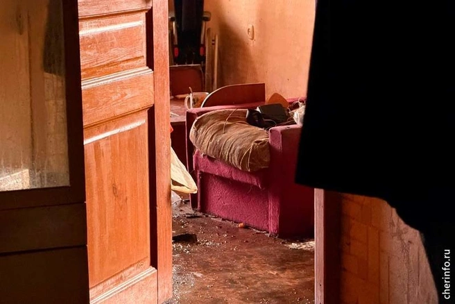 Источник: st.cherinfo.ru