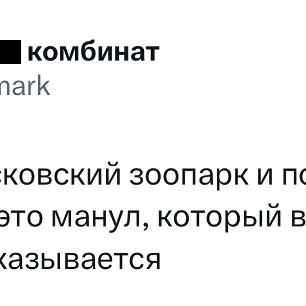 Источник: X (Twitter)