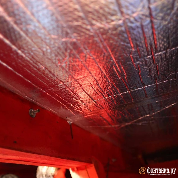 Источник: Дарья Драй / «Фонтанка.ру»