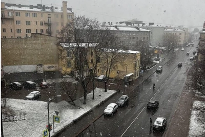 Апрельский снегопад в Ленобласти: улицы побелели