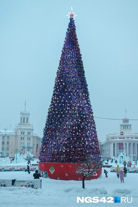 Источник: Лера Городецкая / NGS42.RU