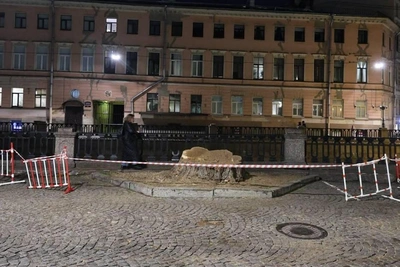 В Петербурге спилили вековой тополь с канала Грибоедова