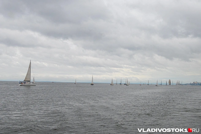 Источник: Елена Буйвол / VLADIVOSTOK1.RU