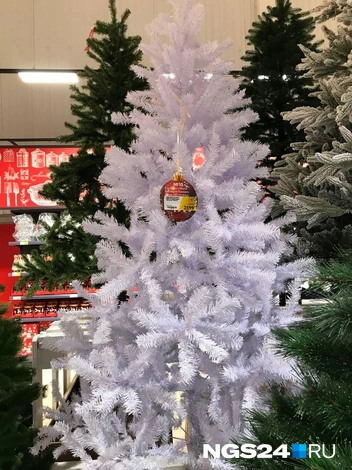 Не совсем стандартная для праздника | Источник: Дмитрий Мамаев / NGS24.RU 