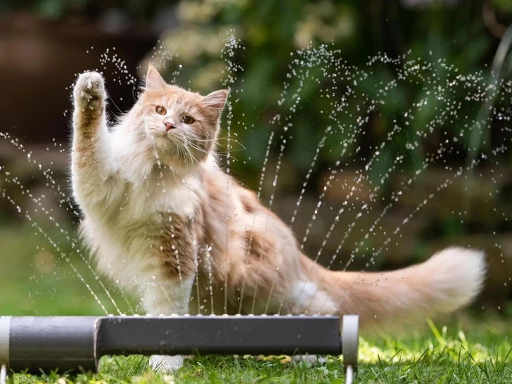 Источник: Shutterstock/Fotodom.ru