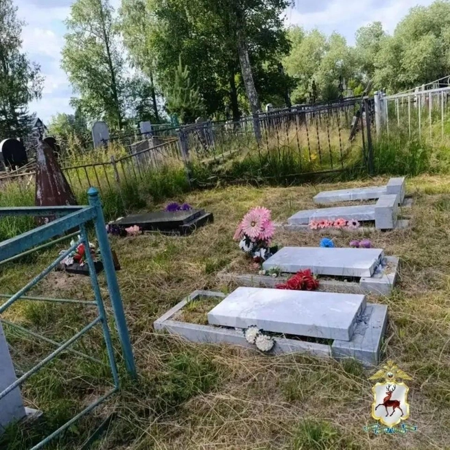 Дети повредили более 50 надгробий и крестов | Источник: ГУ МВД по Нижегородской области