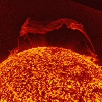 В 80 раз больше Земли: от Солнца оторвался гигантский царь-протуберанец