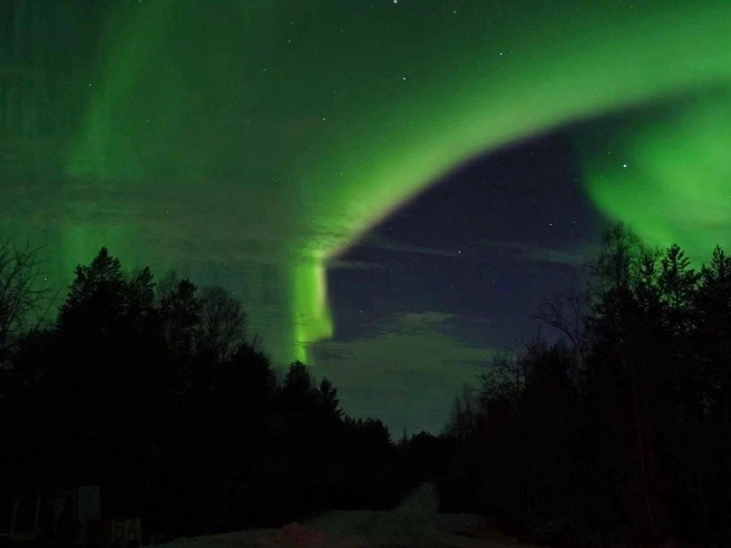 Источник: «МегаТюмень» / T.me