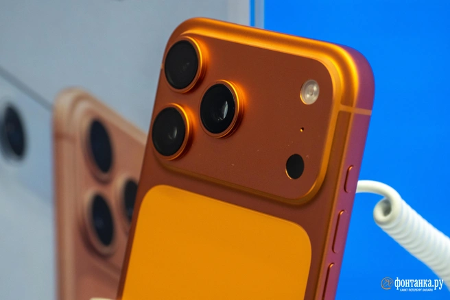 Источник: Михаил Огнев / FONTANKA.RU