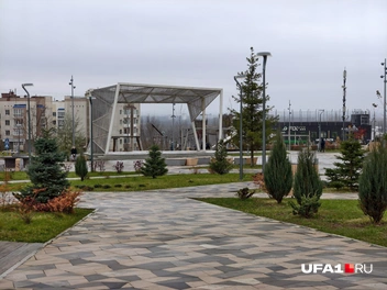 Источник: Булат Салихов / UFA1.RU