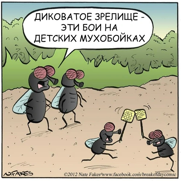 Источник: Nate Fakes