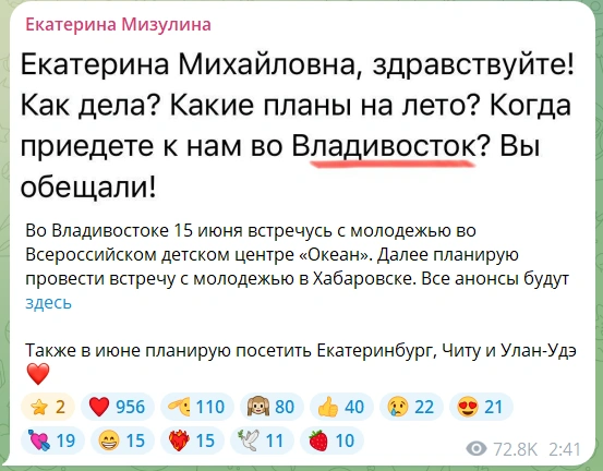 Источник: «Екатерина Мизулина» / T.me