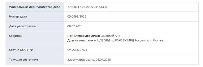 Дело зарегистрировали только сегодня, 8 июля | Источник: Mos-gorsud.ru