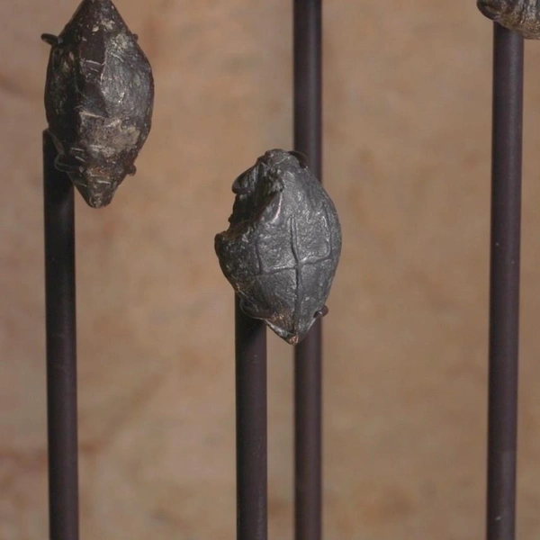 Иудеи разобрали стену, которую не смогли разрушить враги. История древней находки из Иерусалима