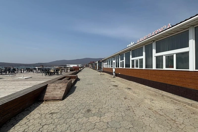 Пляж на Шаморе хотят отобрать у компании экс-мэра Николаева
