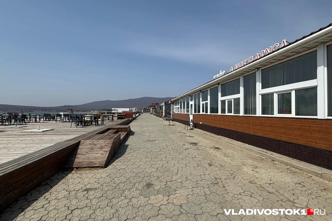 Источник: Елена Буйвол / VLADIVOSTOK1.RU