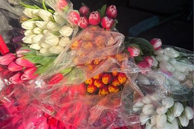 Сколько стоят цветы на улицах Красноярска